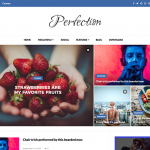 premium blogger template